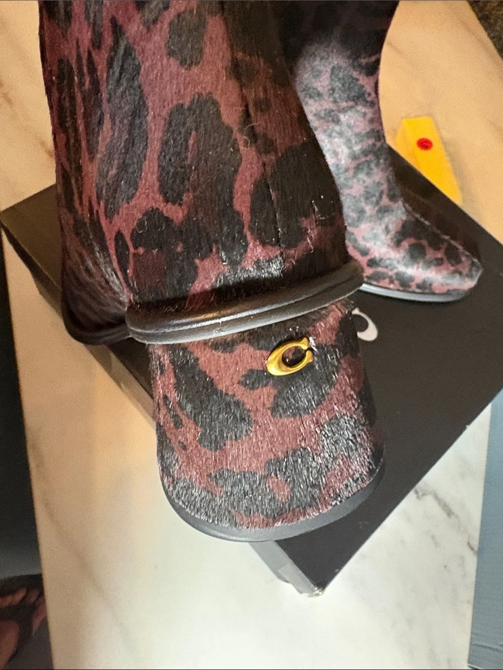 Coach ankle booties